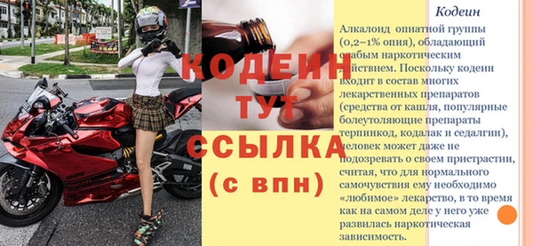 спиды Абаза