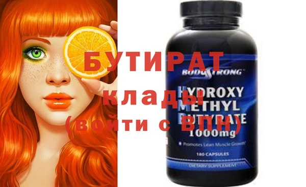 индика Надым