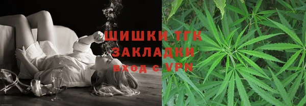 индика Надым